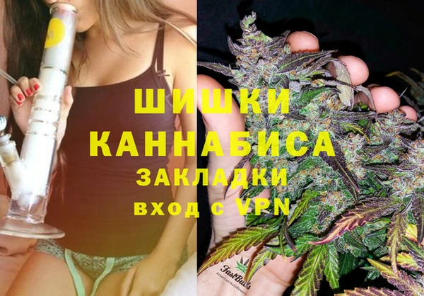 шишки Богданович